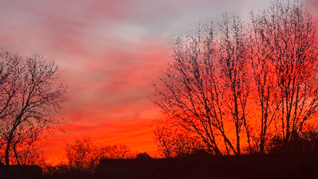 Morrn Red Red Sky at Morn | RegenAxe